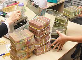 Cho vay thí điểm mô hình liên kết sản xuất